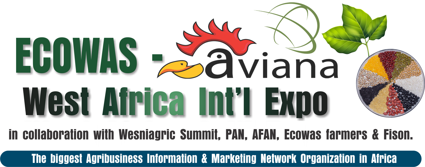 Aviana Ecowas